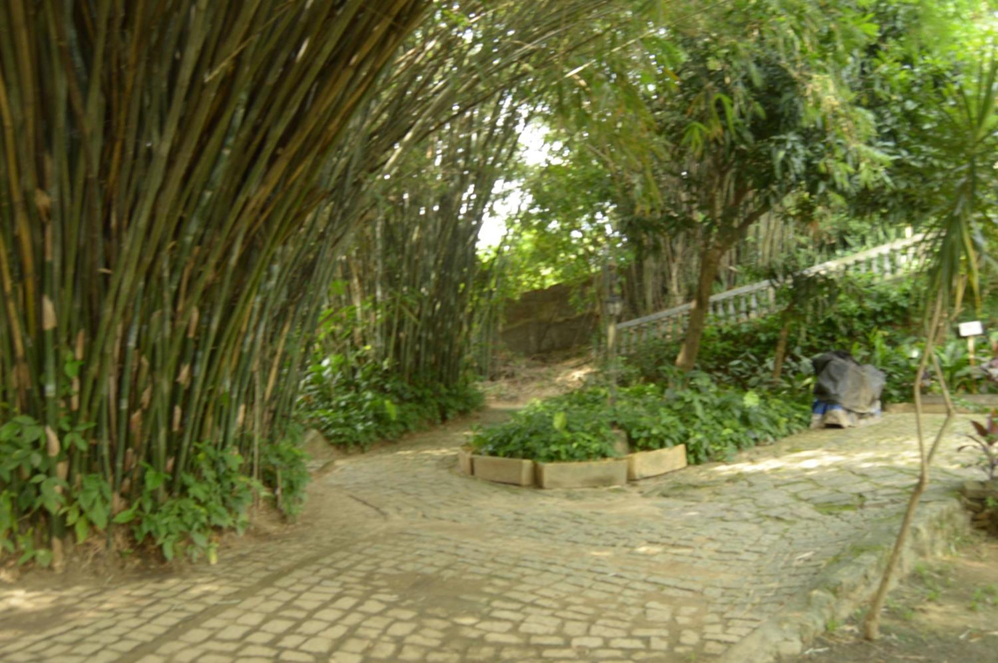 Rio Natureza Adaptado Apart 101 Rio de Janeiro Extérieur photo